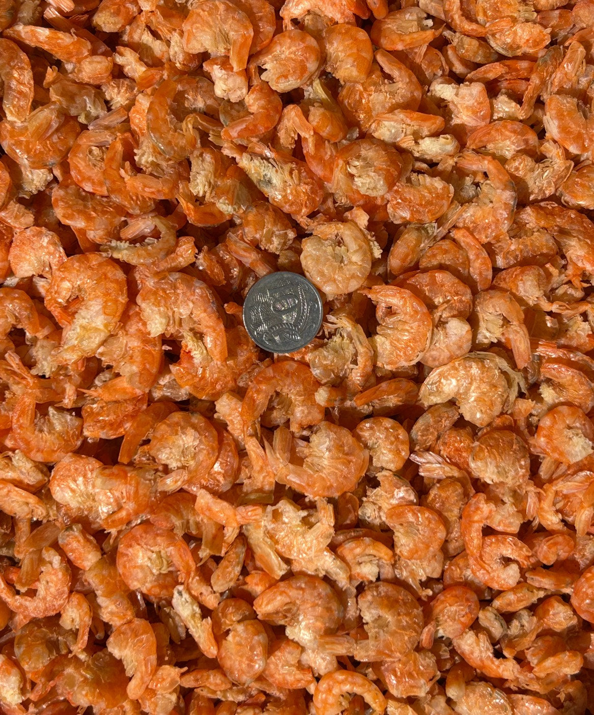 FRZ Dried Shrimp (Large size) 1kg*10 (กุ้งแห้งตัวใหญ่)