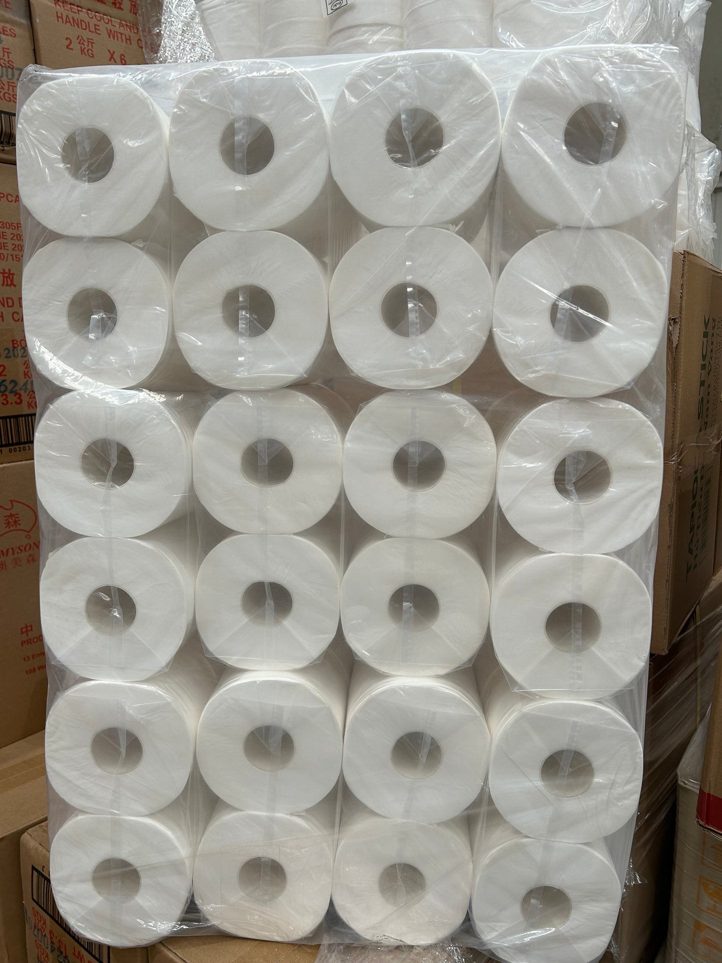 Toilet Paper Big Pack 48 Rolls (Carton)
