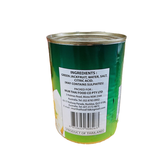 GOLDEN CHOICE Young Green Jackfruit 565ml*24