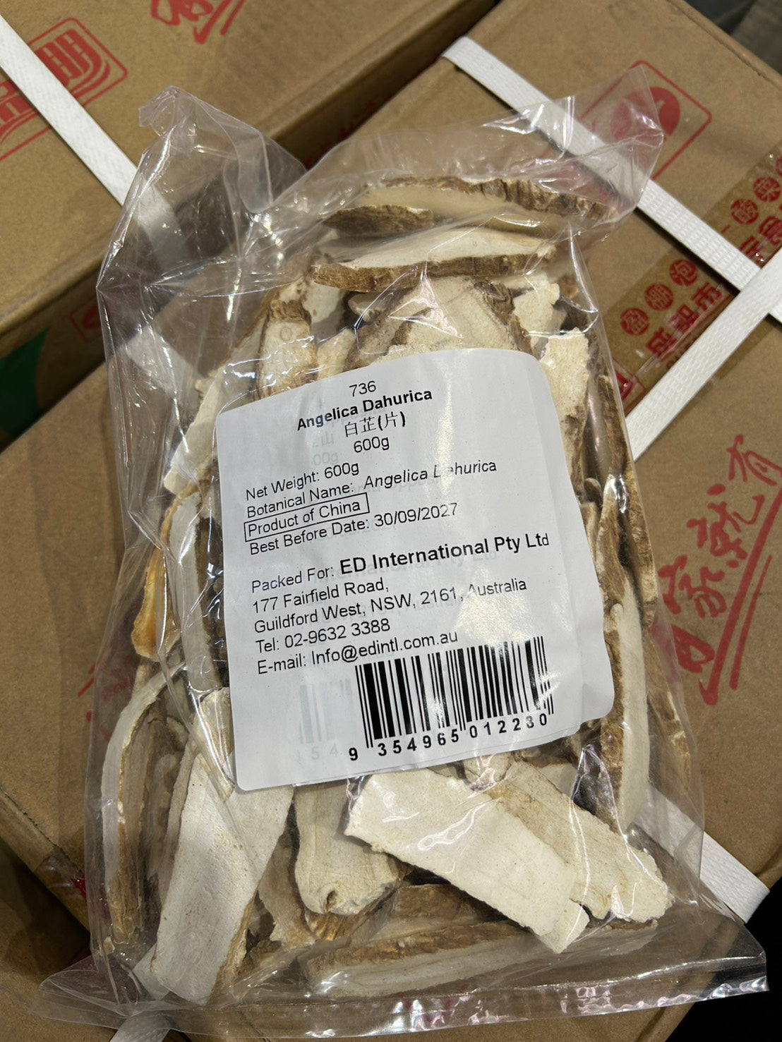 Angelica Dahurica(Bai Zhi 白芷) 600g*20